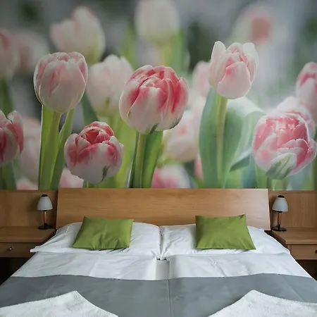 Hotel Imos 3*