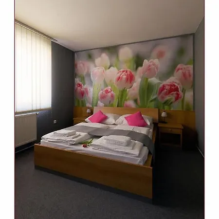Hotel Imos 3*